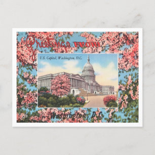 Greetings from U. S. Capitol, Washington, D. C. Postcard