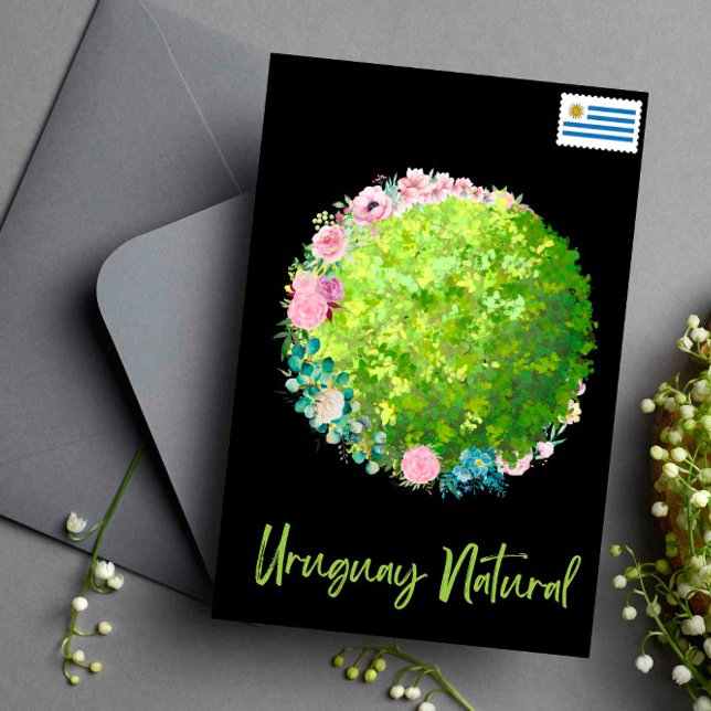 Greetings from Uruguay Natural  Postcard (Creator Uploaded)