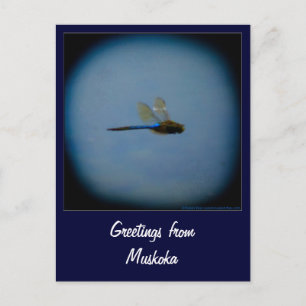 Greetings from Vacation Country postcard