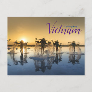 Greetings from Vietnam Postcard 