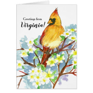 Greetings From Virginia Female Cardinal Bird