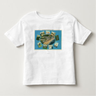 Greetings From with Scenic ViewsSanta Cruz, CA Toddler T-Shirt