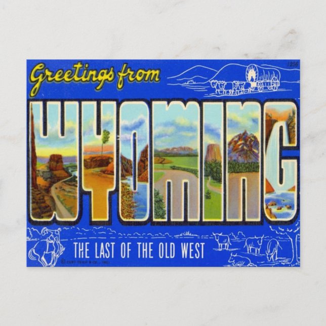 Greetings From Wyoming WY USA Postcard (Front)