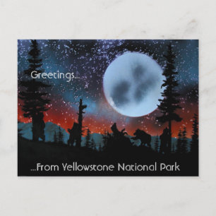 Greetings......From Yellowstone National Park Postcard