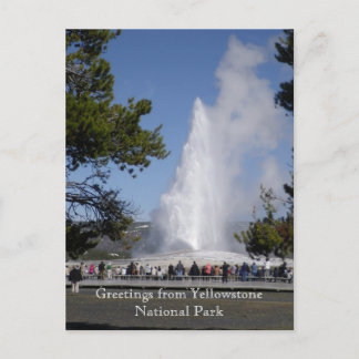 Greetings from Yellowstone National Park Postcard