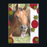 Greetings Holiday Postcard<br><div class="desc">Thank you for viewing this product.  Edit the text on the back to customise this postcard to suit your needs.</div>