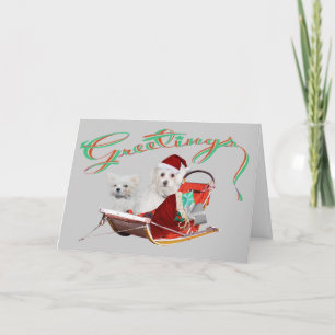 Greetings Maltese Christmas cards
