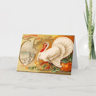 Greetings of Thanksgiving White Turkey Vintage Holiday Card