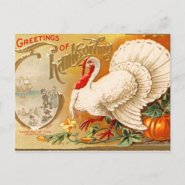 Greetings of Thanksgiving White Turkey Vintage Holiday Postcard (Front)