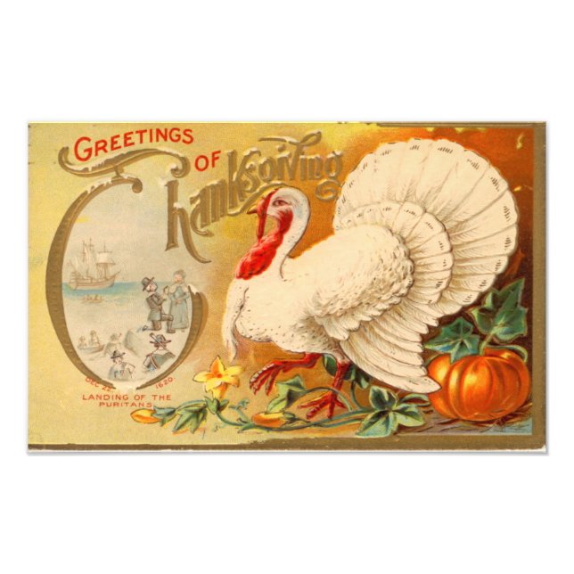 Greetings of Thanksgiving White Turkey Vintage Photo Print (Front)