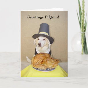 Greetings Pilgrim! Holiday Card