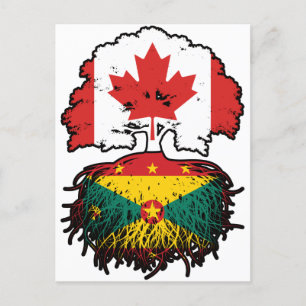 Grenada Grenadian Canadian Canada Tree Roots Flag Postcard