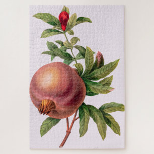 Grenade (Pomegranate) by Pierre Redout Jigsaw Puzzle