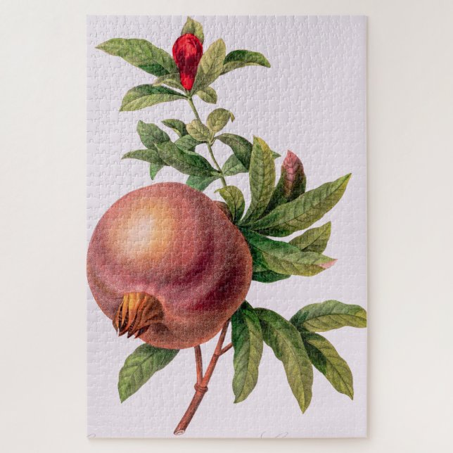Grenade (Pomegranate) by Pierre Redout Jigsaw Puzzle (Vertical)