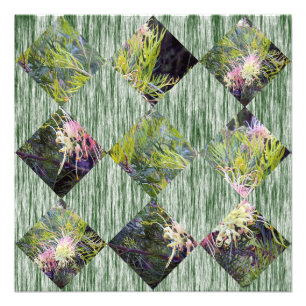 Grevillea: Embracing Nature's Diamond Patterns, Photo Print