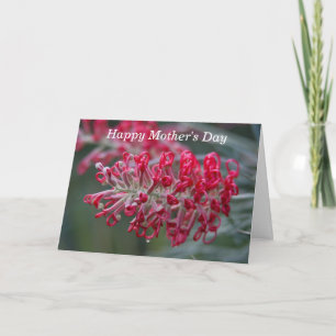 grevillea flower card