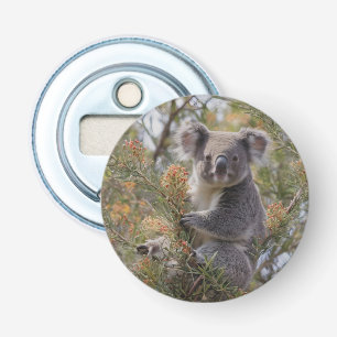 Grevillea Koala Bear, Bottle Opener