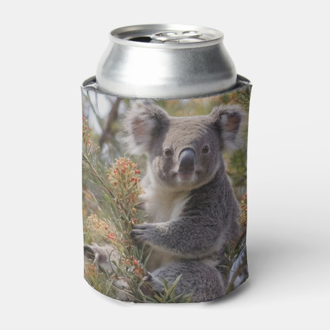 Grevillea Koala Bear, Can Cooler (Can Front)