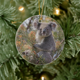 Grevillea Koala Bear, Ceramic Ornament