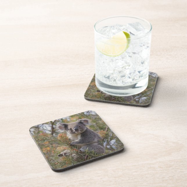 Grevillea Koala Bear, Coaster (Right Side)