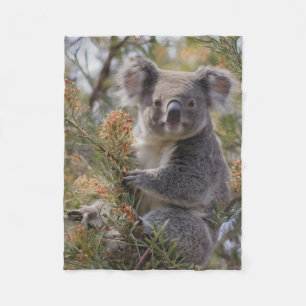 Grevillea Koala Bear, Fleece Blanket