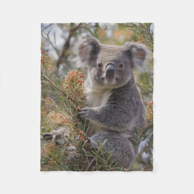 Grevillea Koala Bear, Fleece Blanket (Front)
