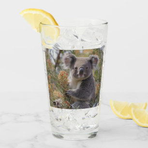 Grevillea Koala Bear, Glass