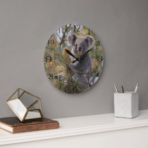 Grevillea Koala Bear, Large Clock