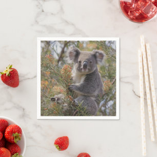 Grevillea Koala Bear, Napkin