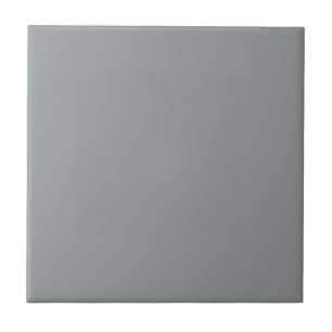 Grey African Parrot Square Kitchen and Bathroom Ceramic Tile