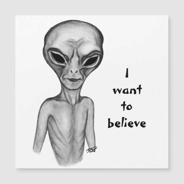 Grey Alien , I want to believe (Front)