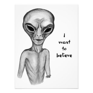 Grey Alien , I want to believe Photo Print