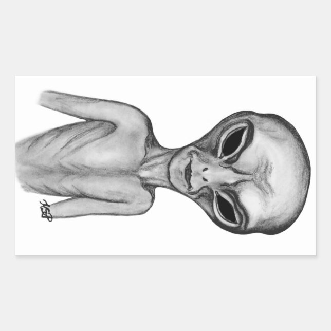 Grey Alien , I want to believe Rectangular Sticker (Front)