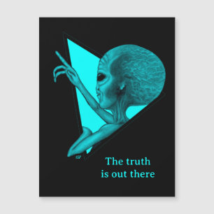 Grey Alien, the truth is out there