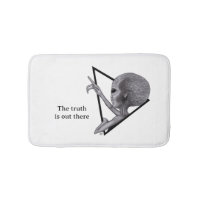 Grey Alien, the truth is out there