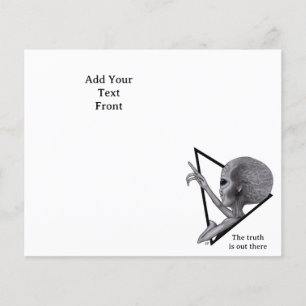 Grey Alien, the truth is out there Flyer