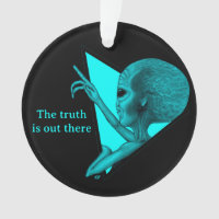 Grey Alien, the truth is out there