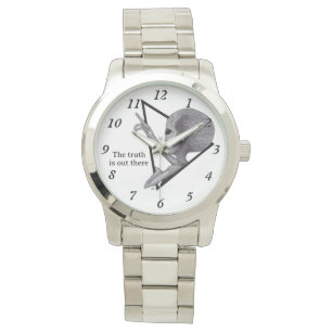 Grey Alien, the truth is out there Watch