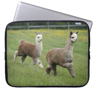 Grey Alpacas Running Laptop Sleeve