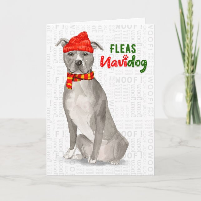 Grey American Staffordshire Pitbull Dog Funny Holiday Card (Front)