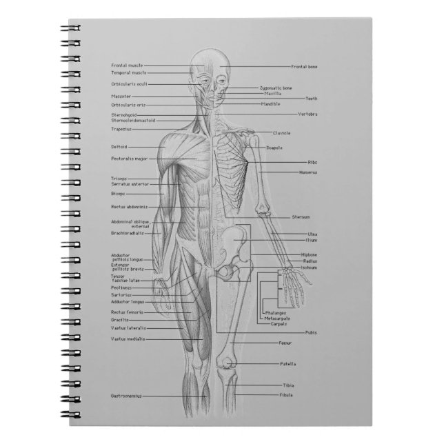 Grey Anatomy Notebook (Front)