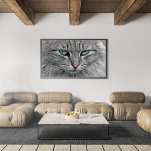 Grey and Black Tabby Cat with Beautiful Blue Eyes Poster