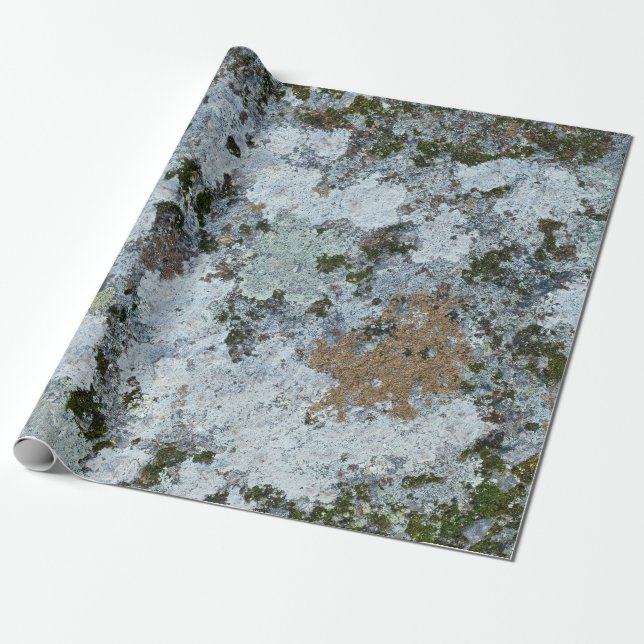 Grey and green illustration wrapping paper (Unrolled)