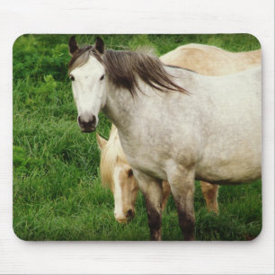 Grey and Palomino Horses Mouse Pad