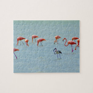 Grey and pink flamingos flock in lake jigsaw puzzle