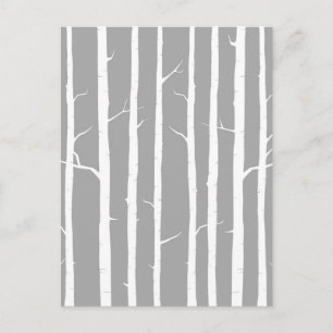 Grey and White Birch Tree Postcard