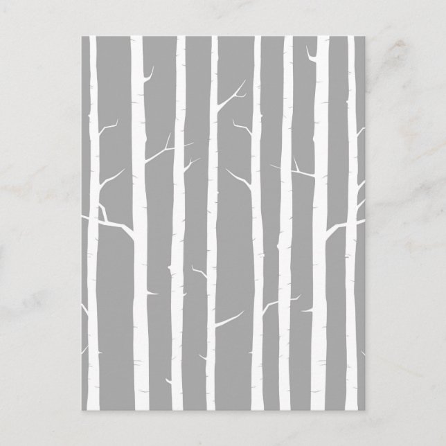 Grey and White Birch Tree Postcard (Front)