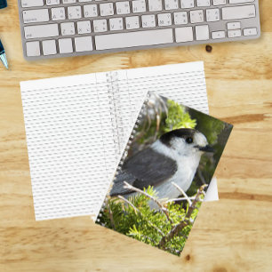 Grey and White Canada Jay Photo Notebook
