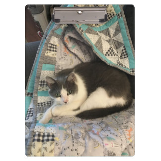 Grey and white cat clipboard