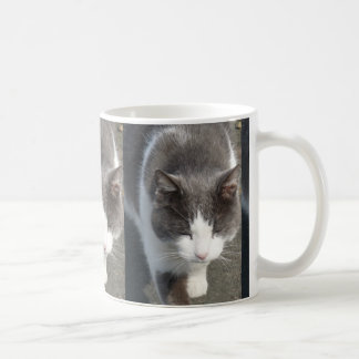 Grey And White Cat Coffee Mug